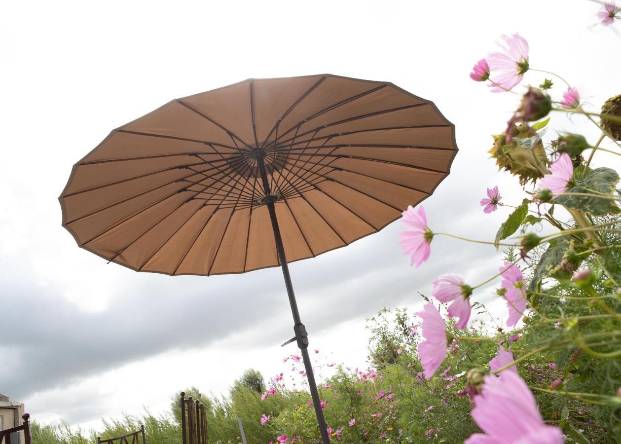Landelijk Vakantiehuis In Diksmuide Met Een Tuin En Vijver Exterior foto
